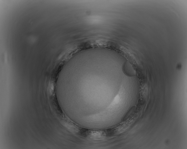 X0000094780709200711241339