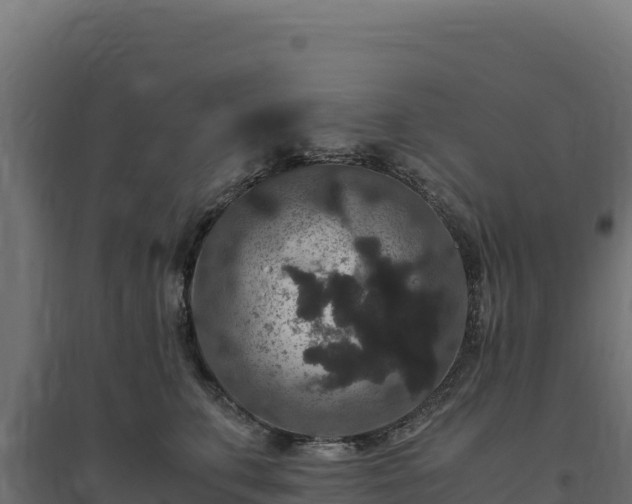 X0000094780711200711241339