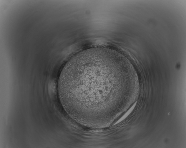 X0000094780715200711241339