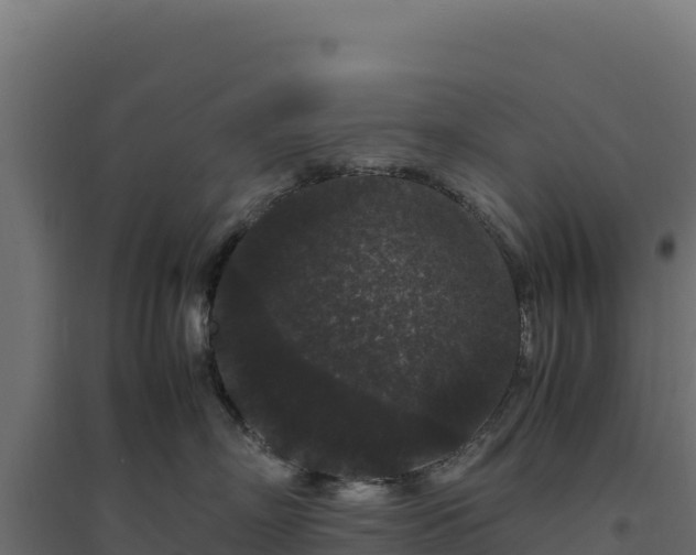 X0000094780718200711241339