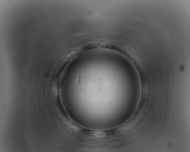 X0000094780719200711241339
