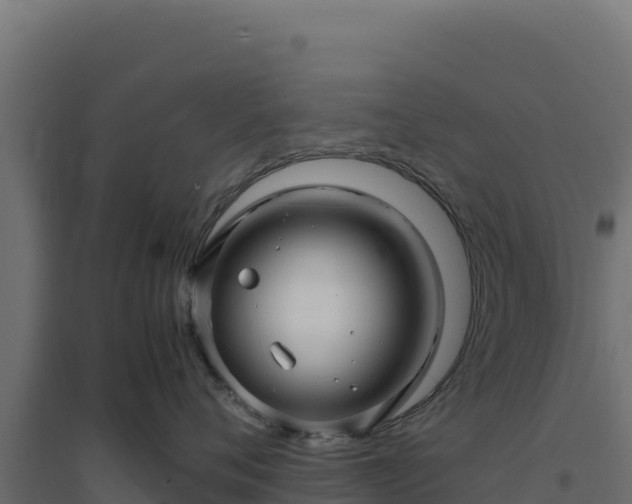 X0000094780720200711241339