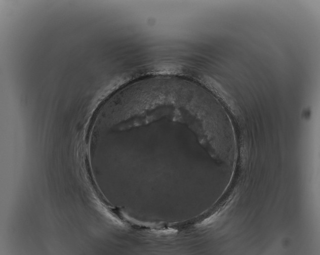 X0000094780721200711241338