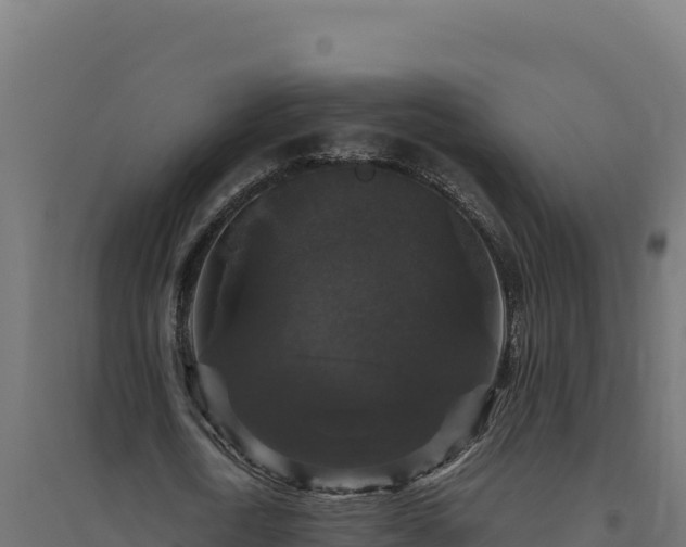 X0000094780722200711241338