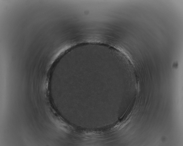 X0000094780723200711241338