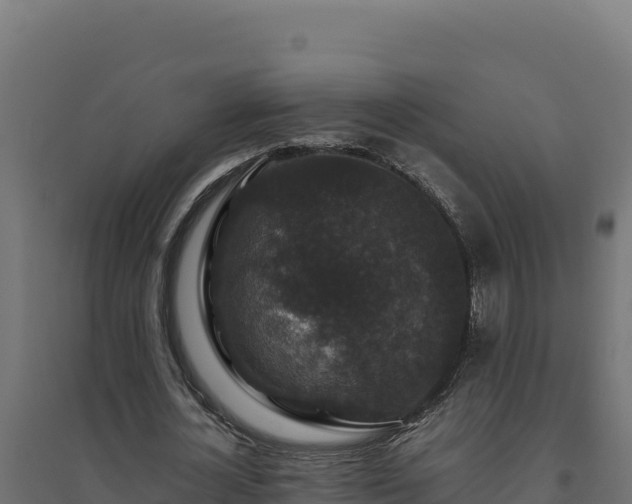 X0000094780724200711241338
