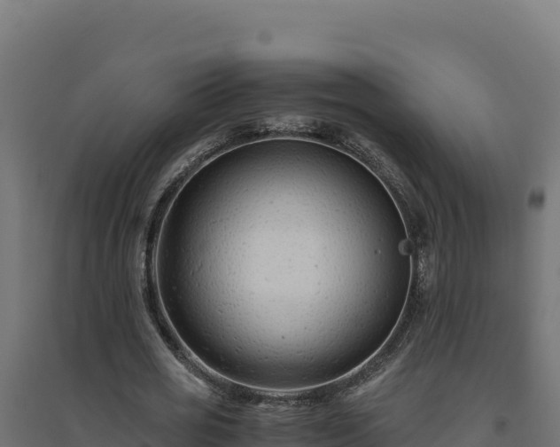 X0000094780725200711241338