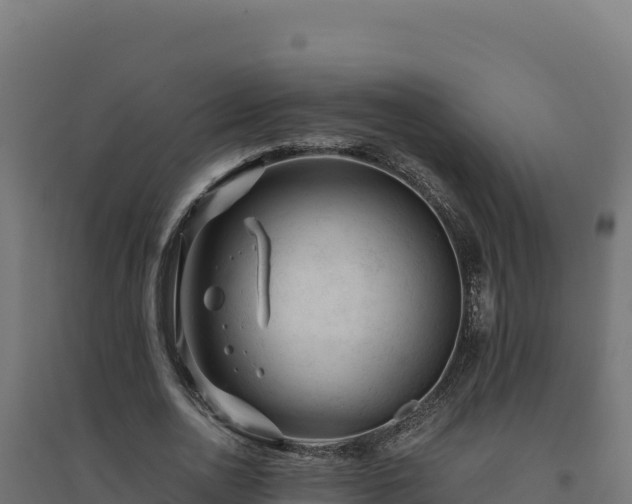 X0000094780726200711241338