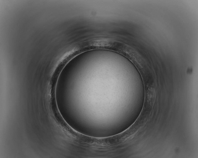 X0000094780727200711241338