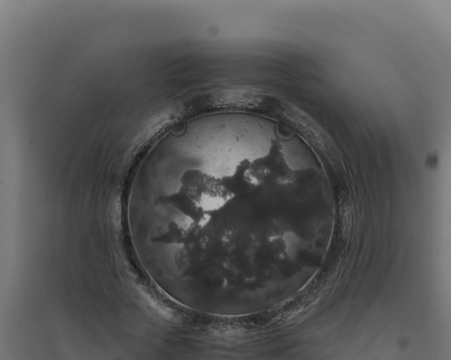 X0000094780729200711241338