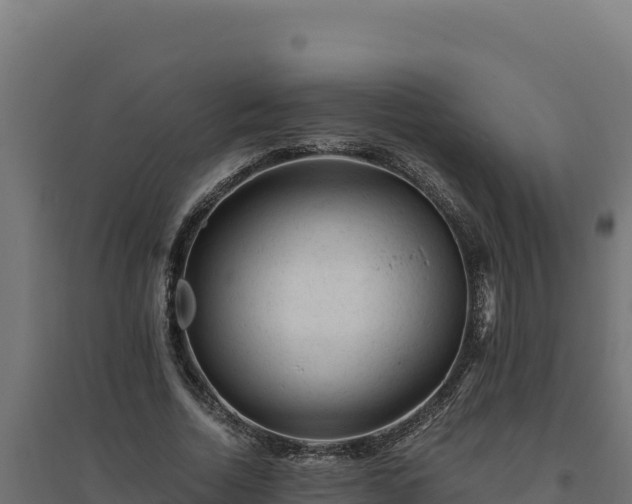 X0000094780730200711241338