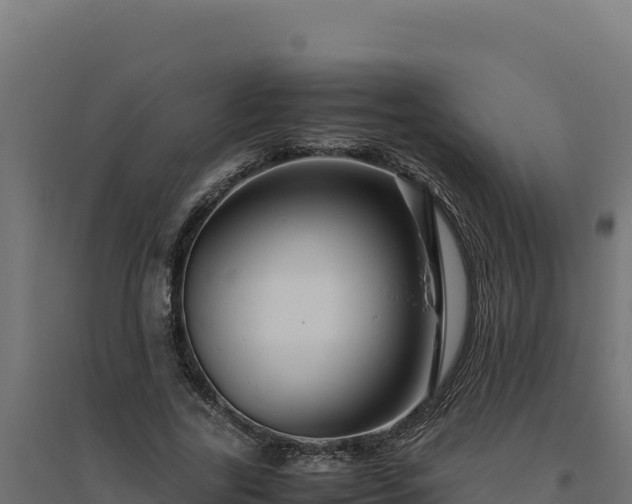 X0000094780731200711241338