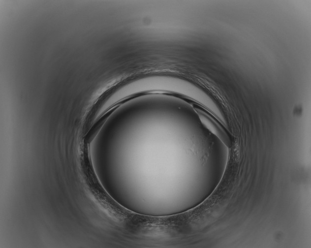 X0000094780732200711241338