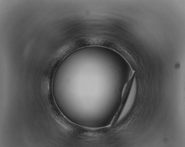X0000094780733200711241338