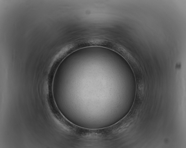 X0000094780734200711241338
