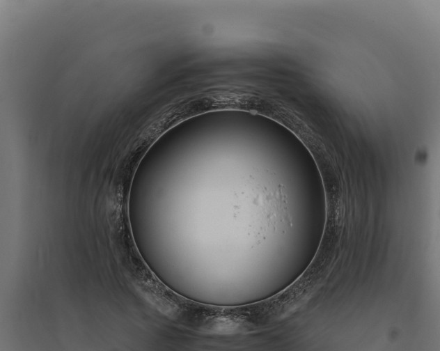 X0000094780737200711241338