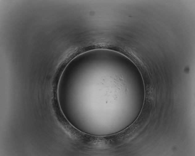 X0000094780738200711241338