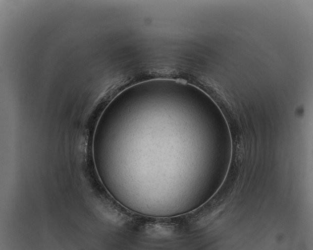 X0000094780739200711241338