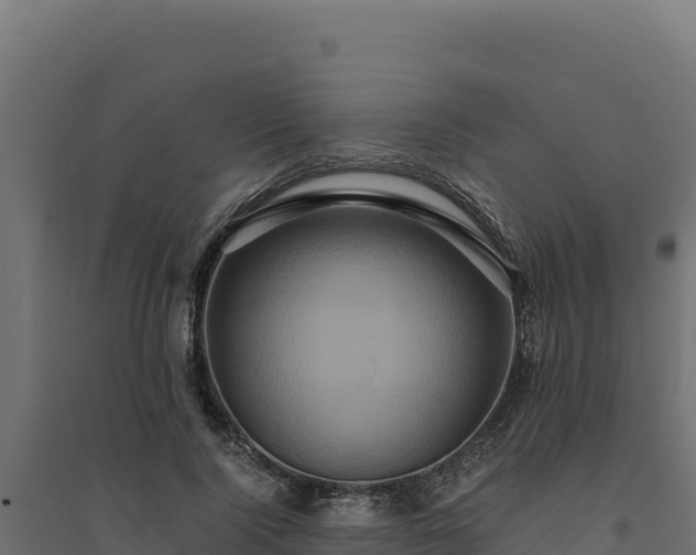X0000094780740200711241338
