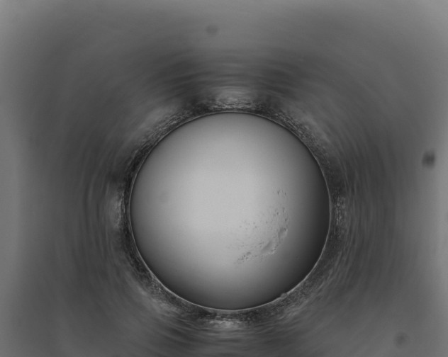 X0000094780741200711241338