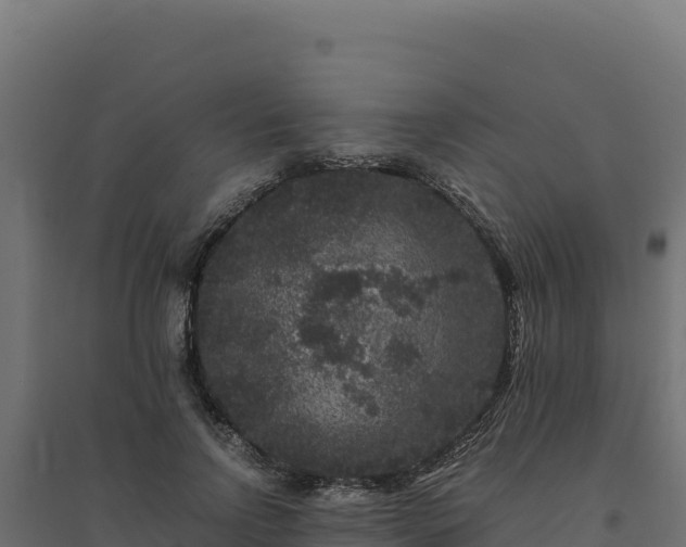 X0000094780742200711241338