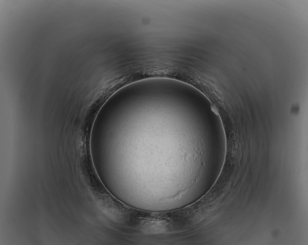 X0000094780743200711241338