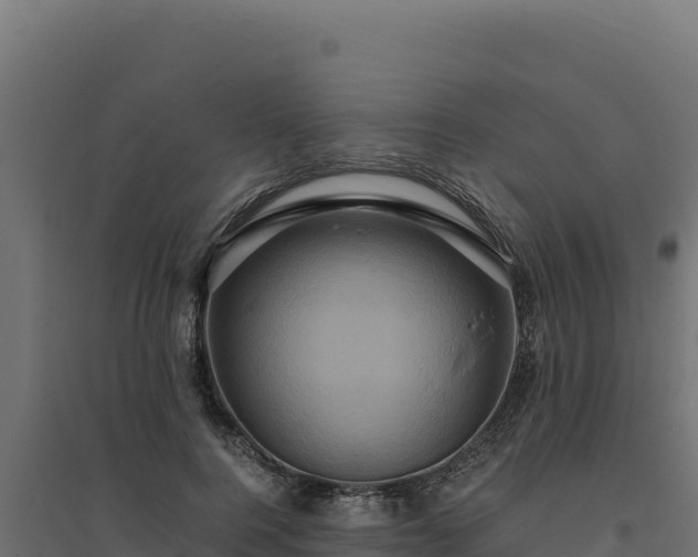 X0000094780744200711241338