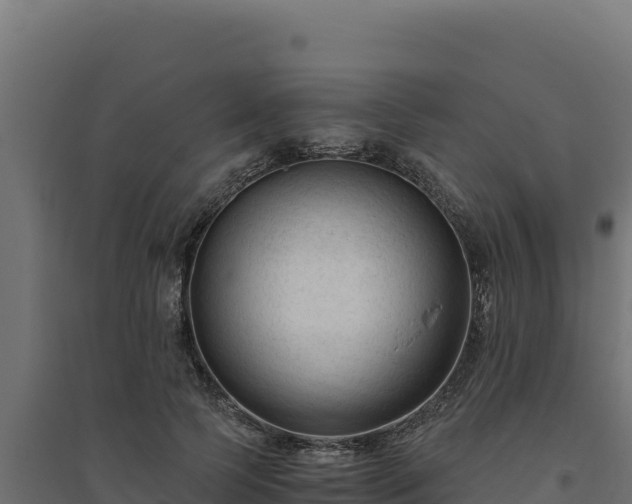 X0000094780745200711241338