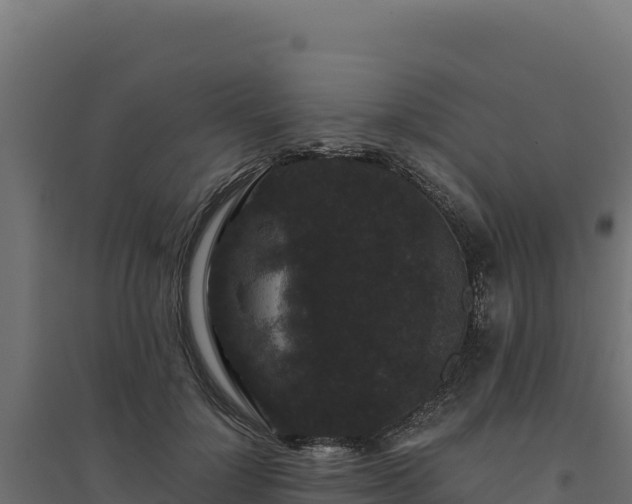 X0000094780748200711241338