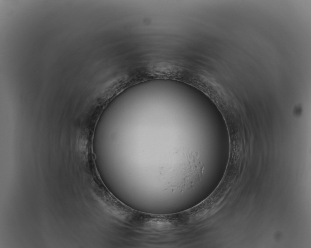X0000094780749200711241338