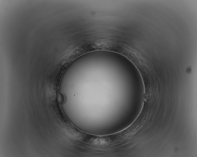 X0000094780751200711241339