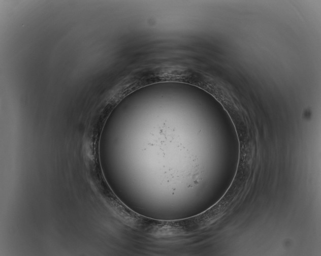X0000094780755200711241339