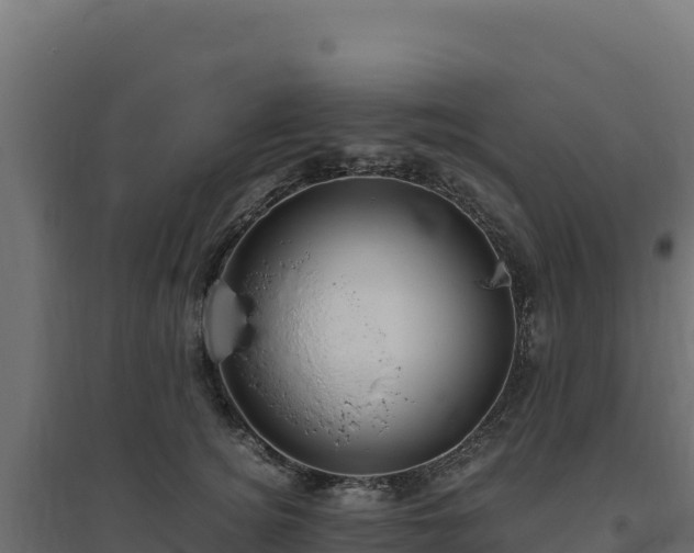 X0000094780756200711241339