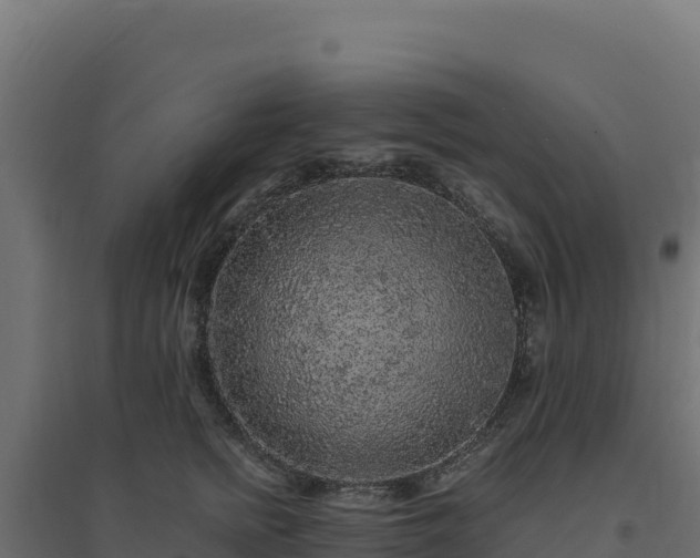 X0000094780758200711241339
