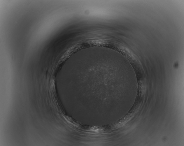 X0000094780760200711241339