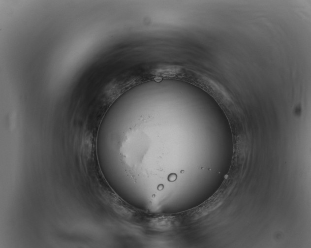 X0000094780761200711241339