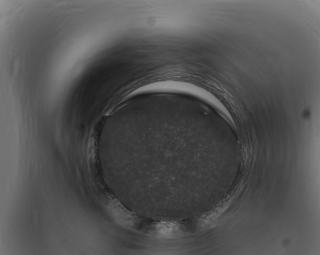 X0000094780762200711241339