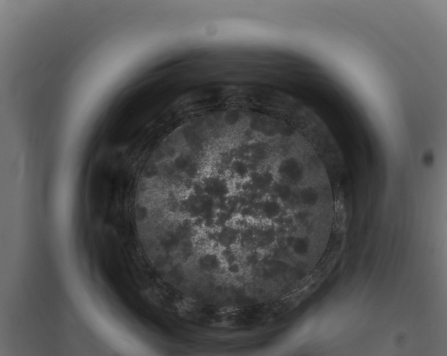 X0000094780765200711241339
