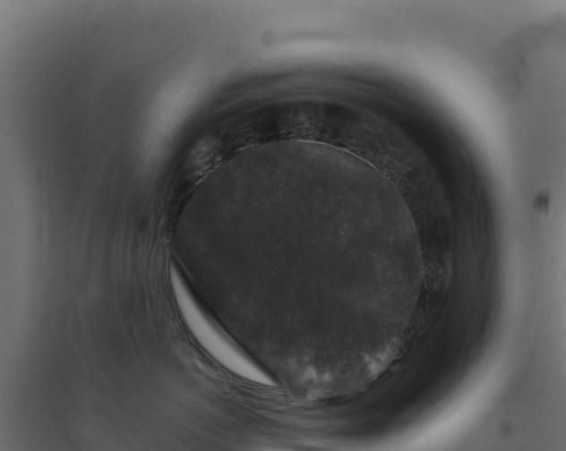 X0000094780766200711241339