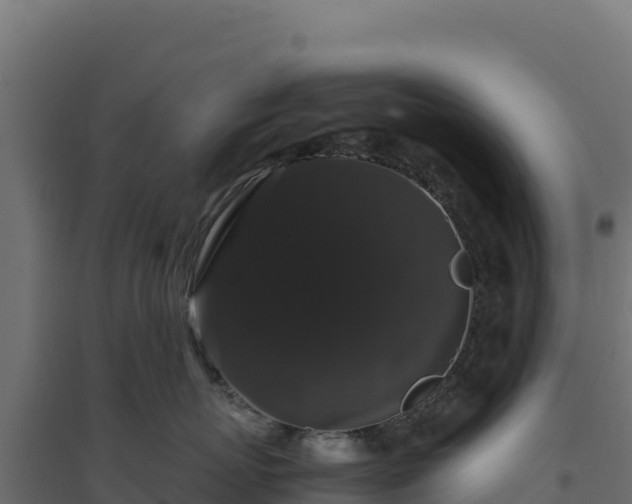 X0000094780767200711241339