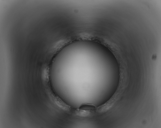 X0000094780768200711241339