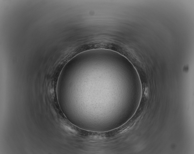 X0000094780771200711241338