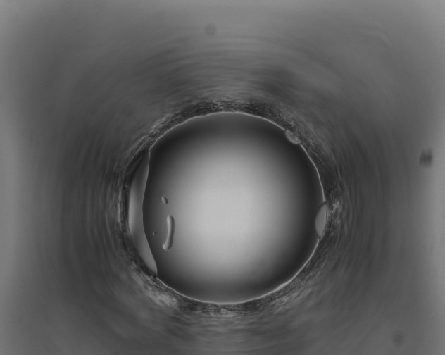 X0000094780772200711241338