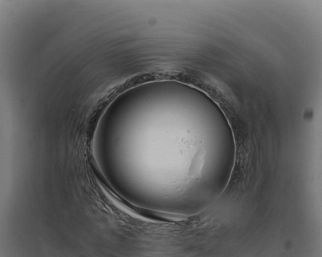 X0000094780773200711241338