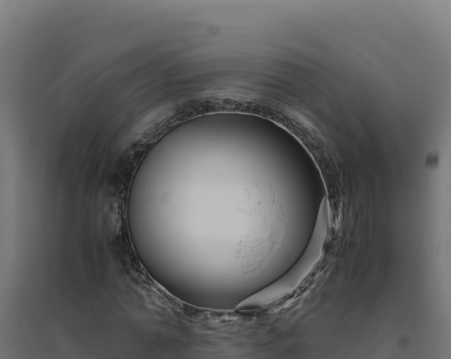 X0000094780774200711241338