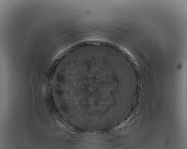 X0000094780775200711241338