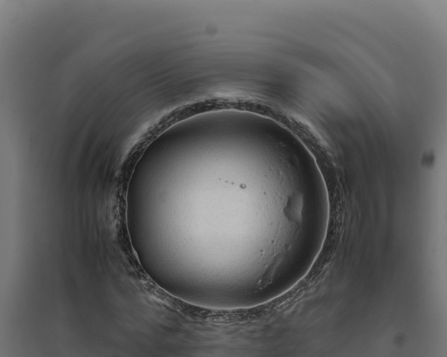 X0000094780776200711241338