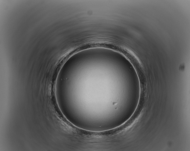 X0000094780777200711241338