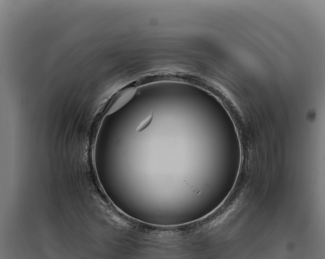 X0000094780778200711241338