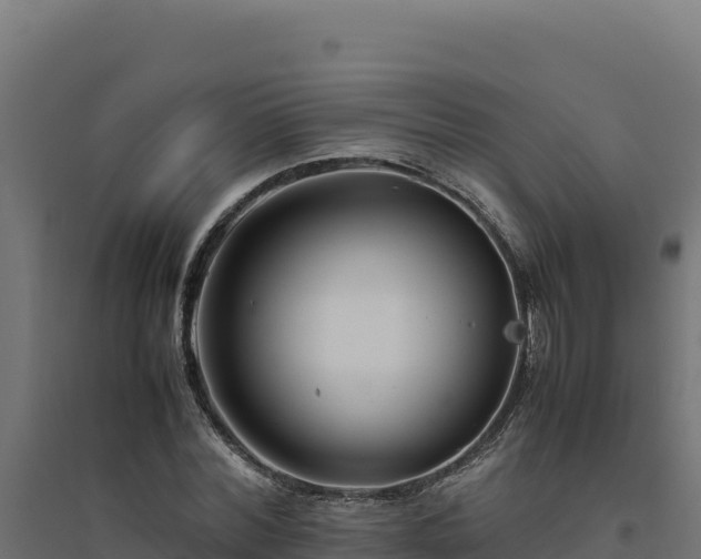 X0000094780780200711241338